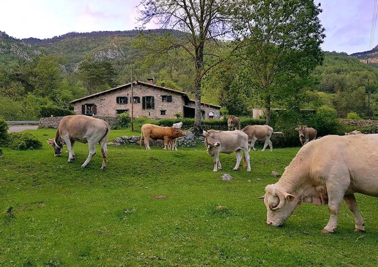 Hauzify I Apartament Bella Molina Alp Bagian luar foto